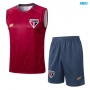 Camiseta futbol Entrenamiento Sin Mangas Sao Paulo + Pantalón Corto 2025/26 rojo/Gris