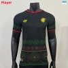 Camiseta futbol Versión Player Jamaica Segunda 2026/27