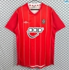 Maxikits Hacer Camisetas futbol Retro Southampton Primera 2012-13 por mayor