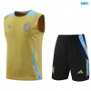 Camiseta futbol Entrenamiento Sin Mangas Argentina + Pantalón Corto 2024/25 amarillo
