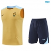 Camiseta futbol Entrenamiento Sin Mangas Francia + Pantalón Corto 2024/25 amarillo