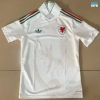 Camiseta futbol Gales Segunda 2026/27