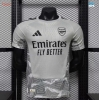 maxikits Camiseta de futbol Versión Player Arsenal Portero Gris 2026/27