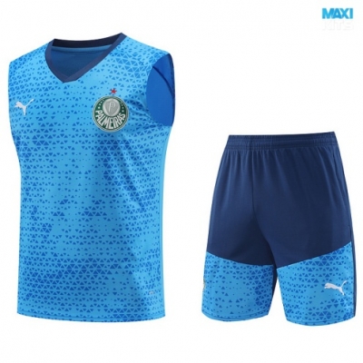 Camiseta futbol Entrenamiento Sin Mangas Palmeiras + Pantalón Corto 2024/25 azul