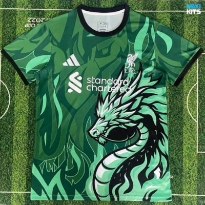 Camiseta futbol Liverpool Especial Verde 2025/26