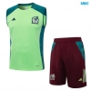 Camiseta futbol Entrenamiento Sin Mangas México + Pantalón Corto 2024/25 verde
