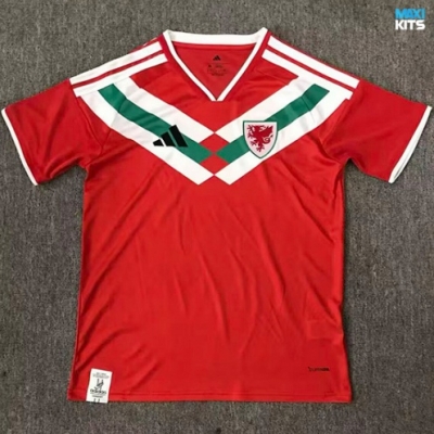 Camiseta futbol Gales Training 2026/27