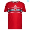 Camiseta futbol Gales Primera 2026/27