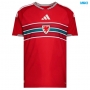 Camiseta futbol Gales Primera 2026/27