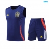 Camiseta futbol Entrenamiento Sin Mangas España + Pantalón Corto 2024/25 Azul