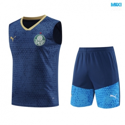 Camiseta futbol Entrenamiento Sin Mangas Palmeiras + Pantalón Corto 2024/25 azul