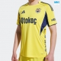 Camiseta futbol Fenerbahce Segunda 2025/26