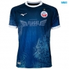 Camiseta futbol Hansa Rostock Especial 2025/26