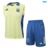 Camiseta futbol Entrenamiento Sin Mangas Ajax + Pantalón Corto 2024/25 amarillo claro