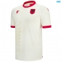 Camiseta futbol Albania Segunda 2026/27