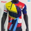 Camiseta futbol Versión Player Arsenal commémorer 2013