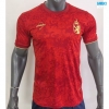 Camiseta futbol España Edición especial 2024/25