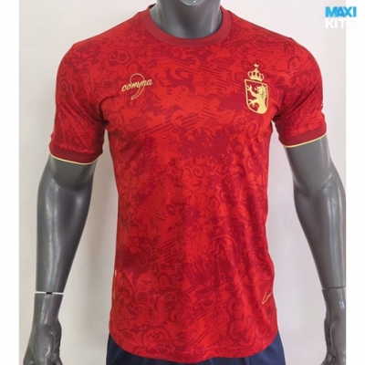Camiseta futbol España Edición especial 2024/25
