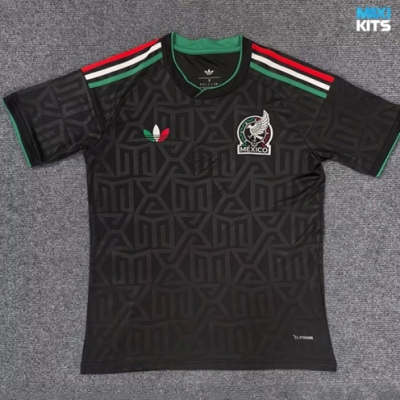 Camiseta futbol México Training 2025/26