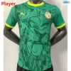 Camiseta futbol Versión Player Senegal Verde 2025/26