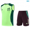 Camiseta futbol Entrenamiento Sin Mangas México + Pantalón Corto 2024/25 verde