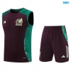 Camiseta futbol Entrenamiento Sin Mangas México + Pantalón Corto 2024/25 marrón