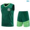 Camiseta futbol Entrenamiento Sin Mangas Palmeiras + Pantalón Corto 2024/25 verde