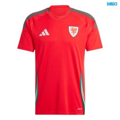 Camiseta futbol Gales Primera 2024/25