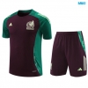 Camiseta futbol México + Pantalón Corto 2024/25 marrón