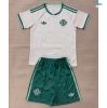 maxikits Camiseta futbol Irlanda del Norte Niño Segunda 2026/27
