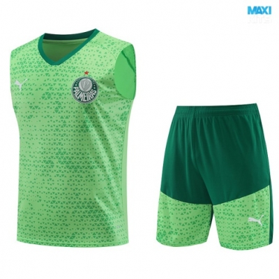 Camiseta futbol Entrenamiento Sin Mangas Palmeiras + Pantalón Corto 2024/25 verde claro