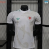 Camiseta futbol Versión Player Gales Segunda 2026/27