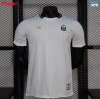Camiseta futbol Versión Player Argentina Casual Retro 2026/27